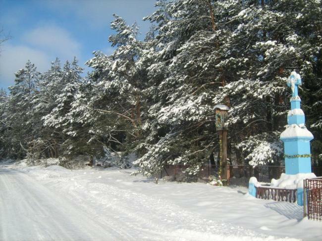 Wypoczynek U Piotra Vila Susiec Exterior foto